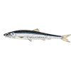 Anchovy<br>