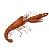 Lobster<br>