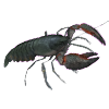 Yabby<br>