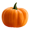 Pumpkin<br>